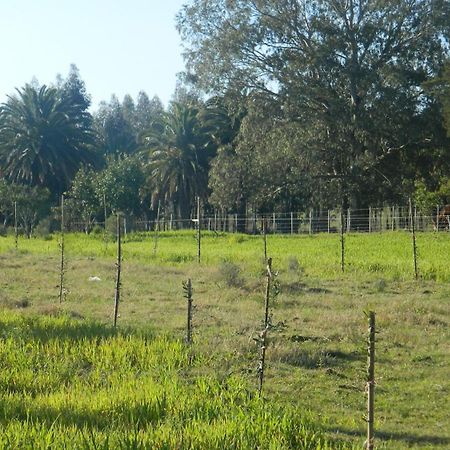 كولونيا ديل ساكرامينتو Casa De Campo Lo De Fatsia الغرفة الصورة
