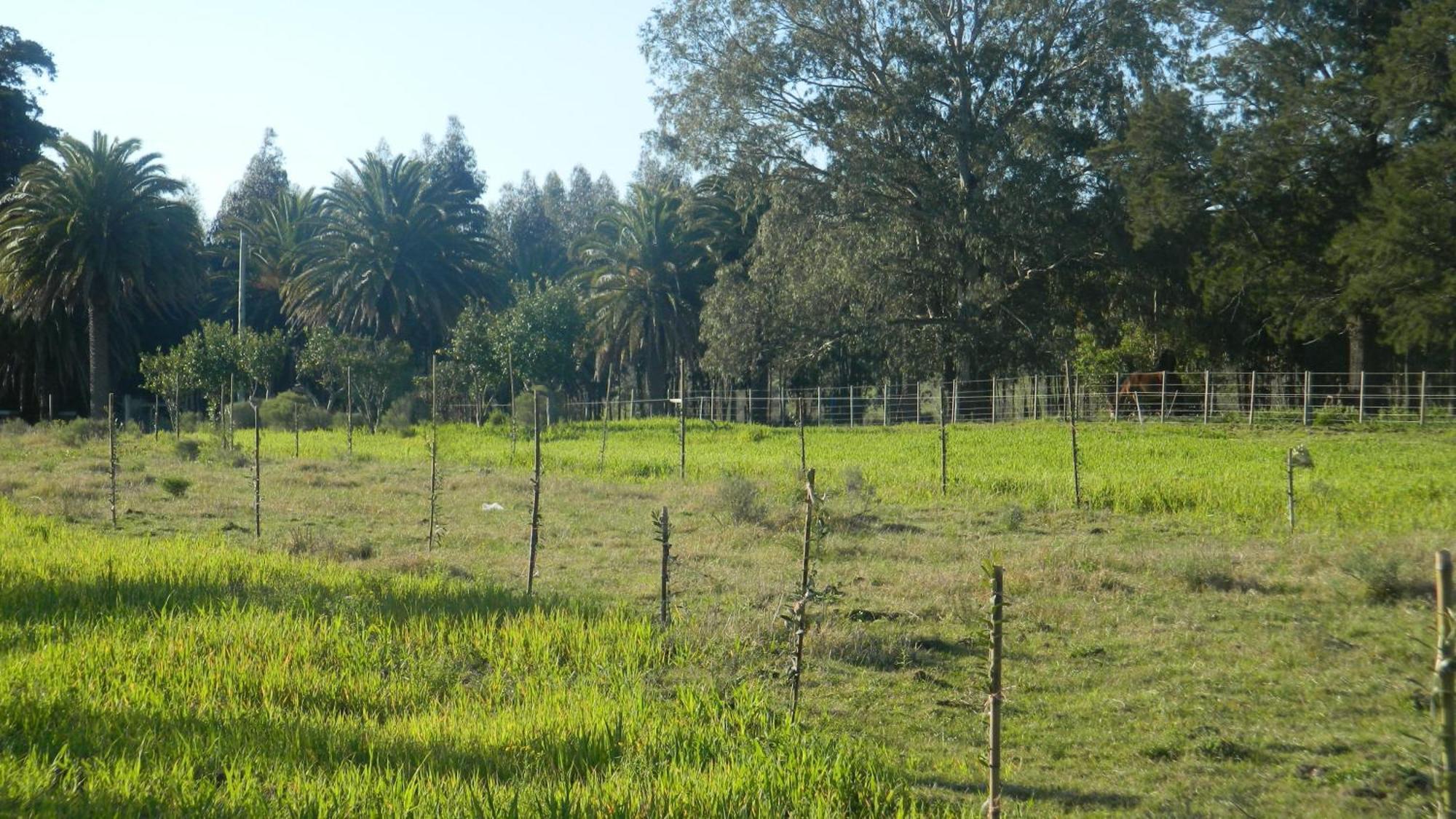 منزل الضيف كولونيا ديل ساكرامينتو  في Casa De Campo Lo De Fatsia الغرفة الصورة